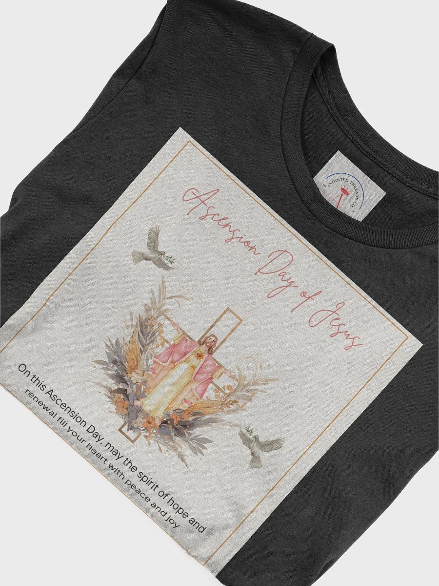 Ascension Day T-Shirt product image (43)