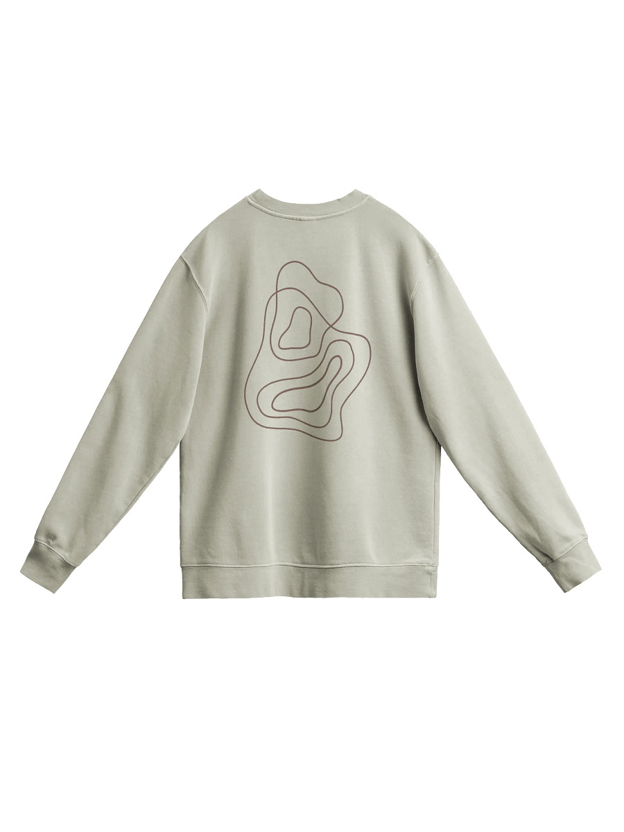 Fluent In Unisex Sweatshirt product image (1)