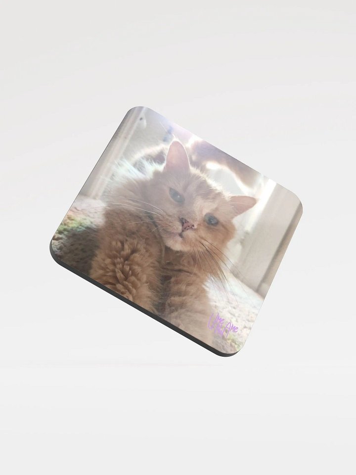 Gus Stretchies Coaster product image (1)