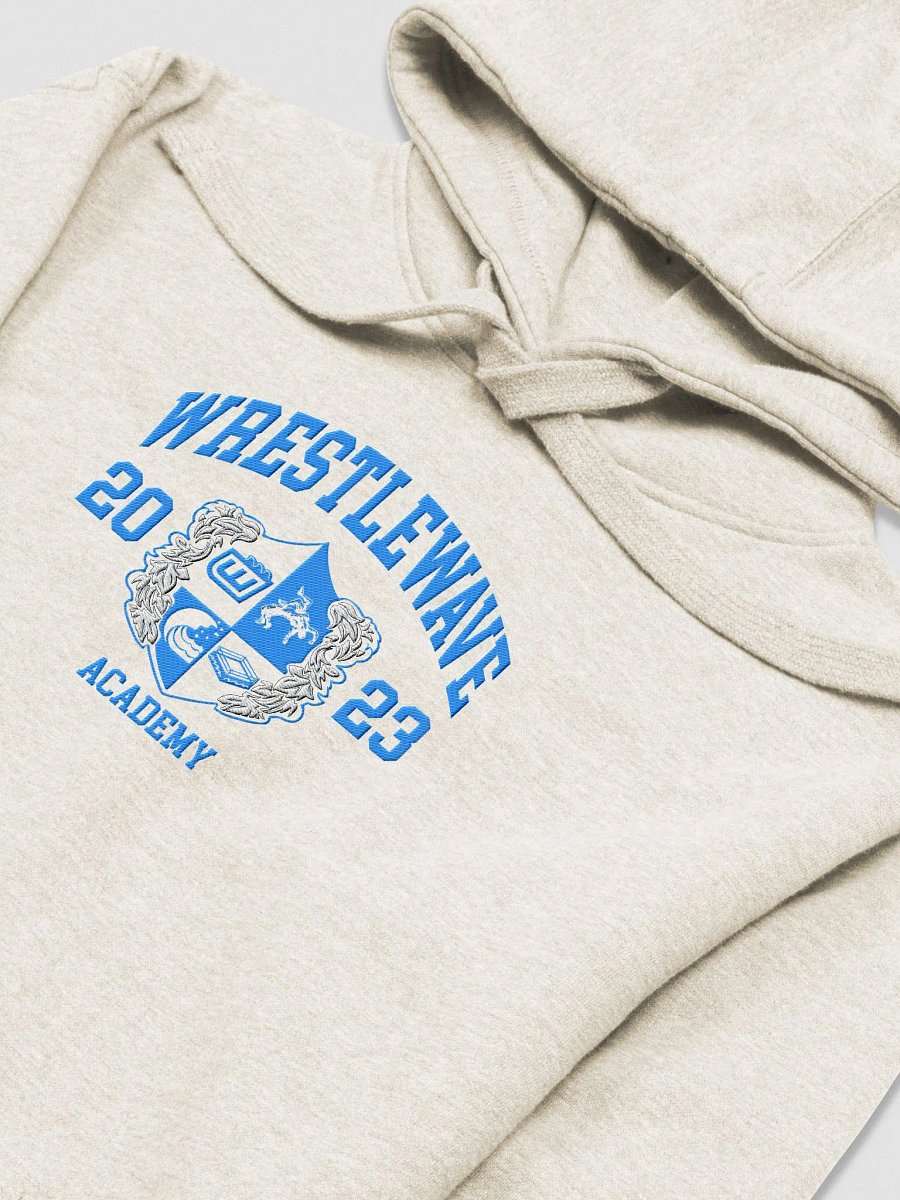 Wrestlewave Academy Varsity Hoodie product image (3)