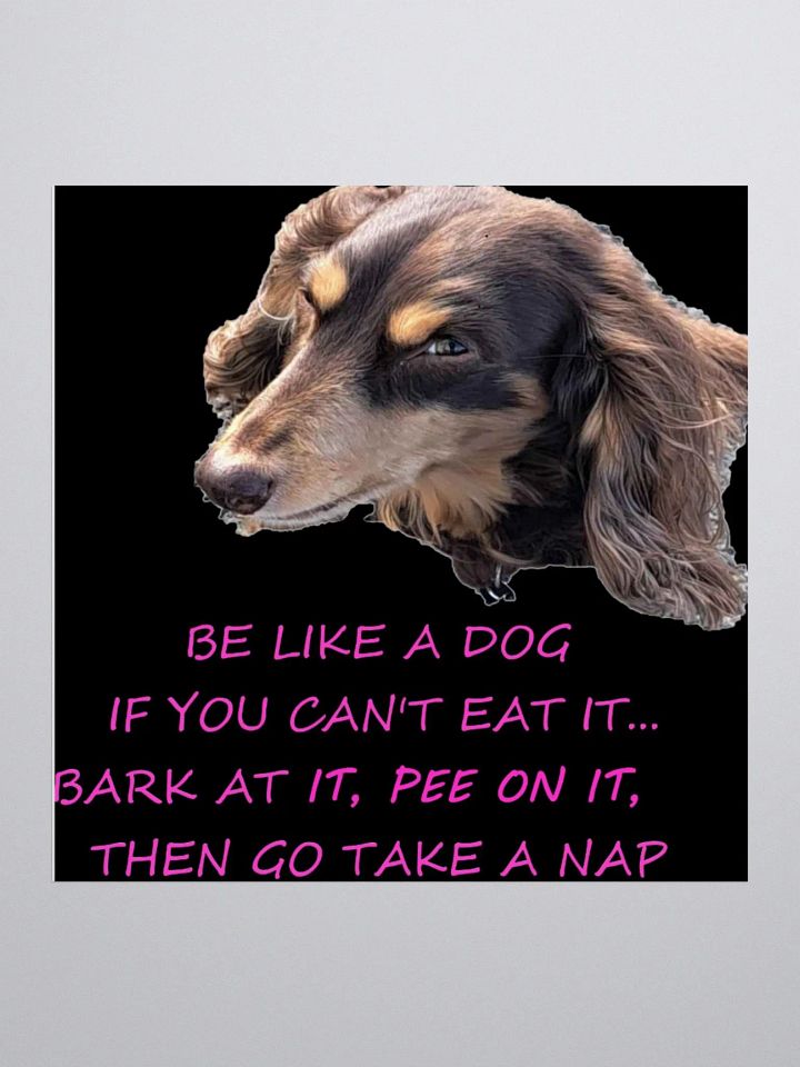 BE LIKE A DOG SIDE EYE product image (1)
