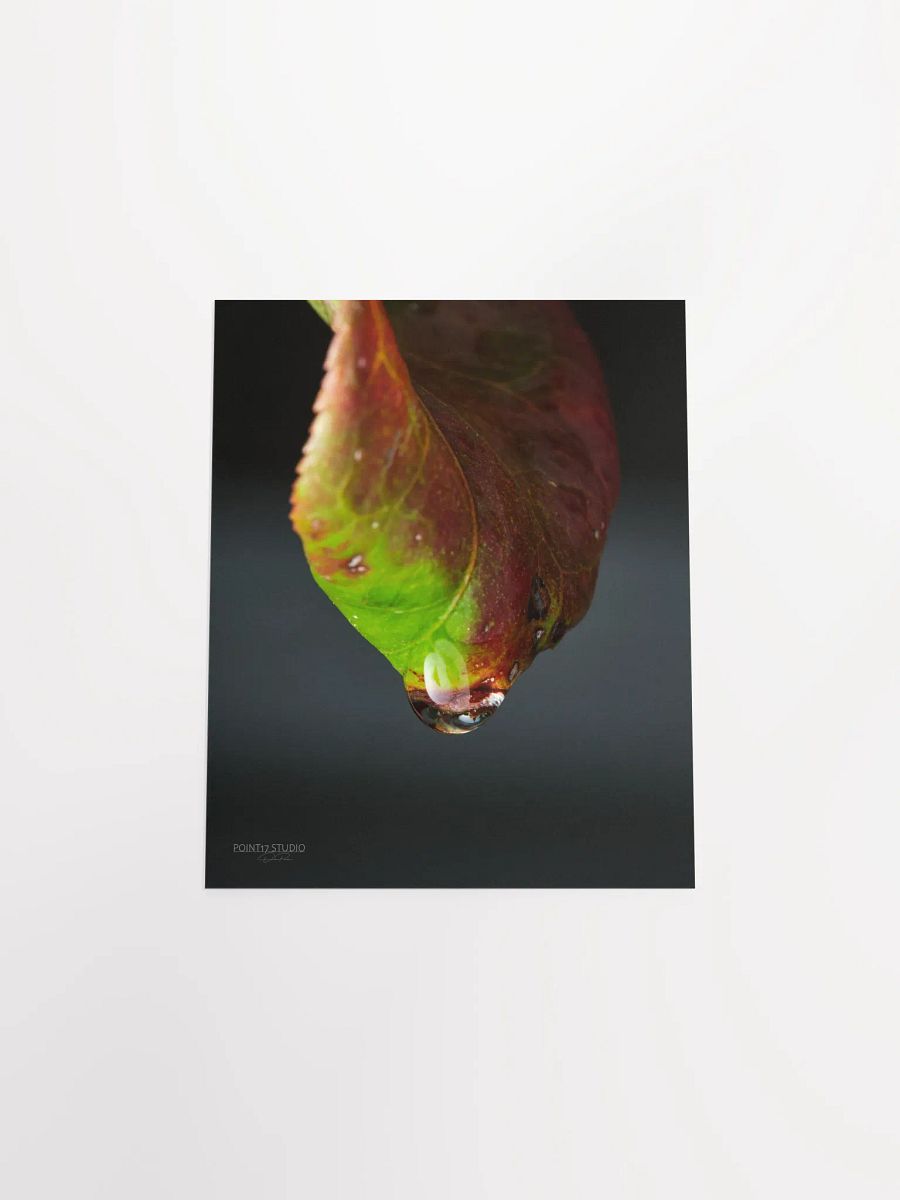 Crystal Drop - Poster product image (8)