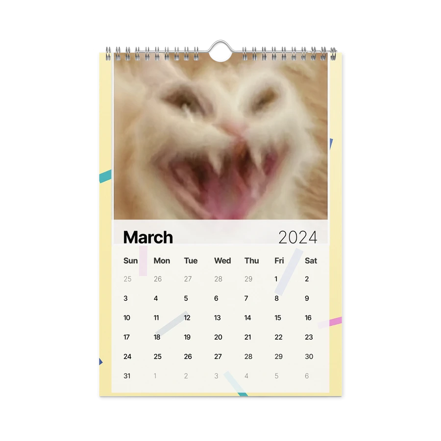 Wall Calendar (2024): Meme Cats product image (13)