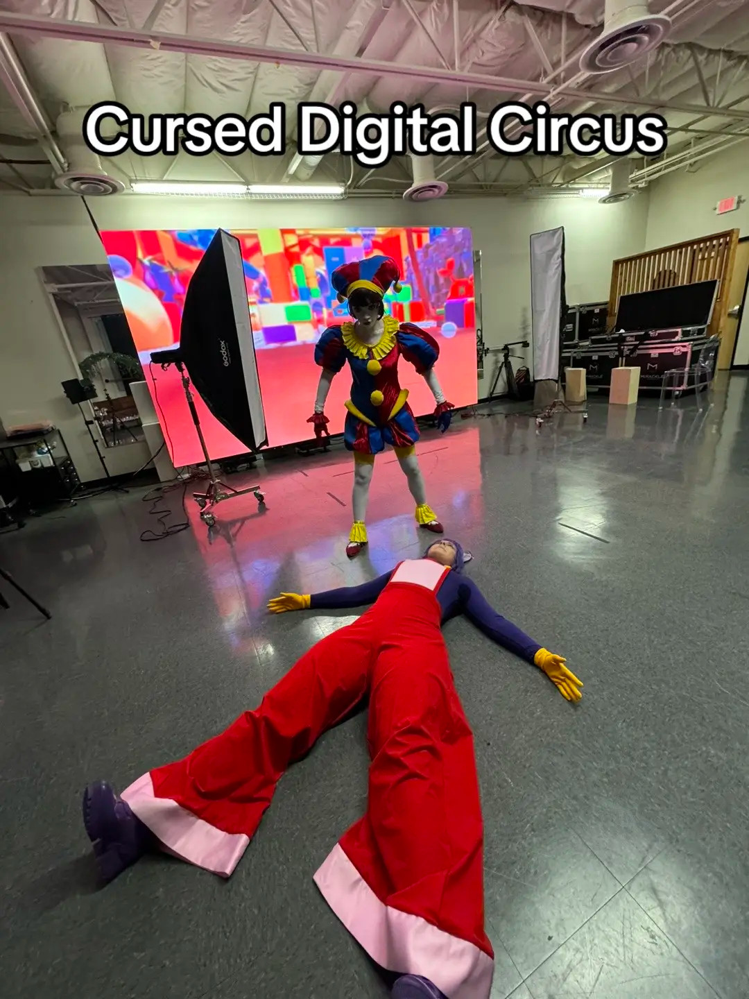 We dressed up from the amazing digital Circus, and we had to be complete memes. We have a hard time being normal anyway so might as well be cursed while being the cursed digital circus bois.  Pomni: @Chococup  Jax: heartlessaquarius #tadc #theamazingdigitalcircus #cosplay #cosplayer #meme #cursedimages 