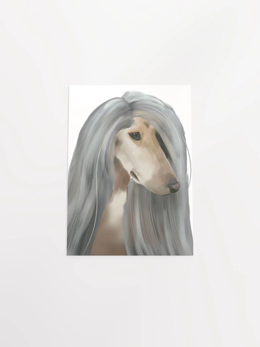 Afghan Hound product image (4)