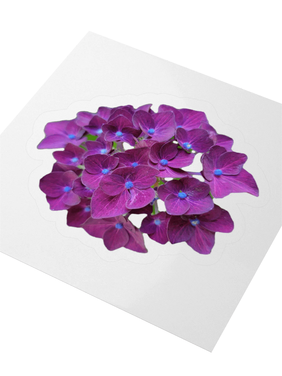 Flower Stickers v1 product image (3)