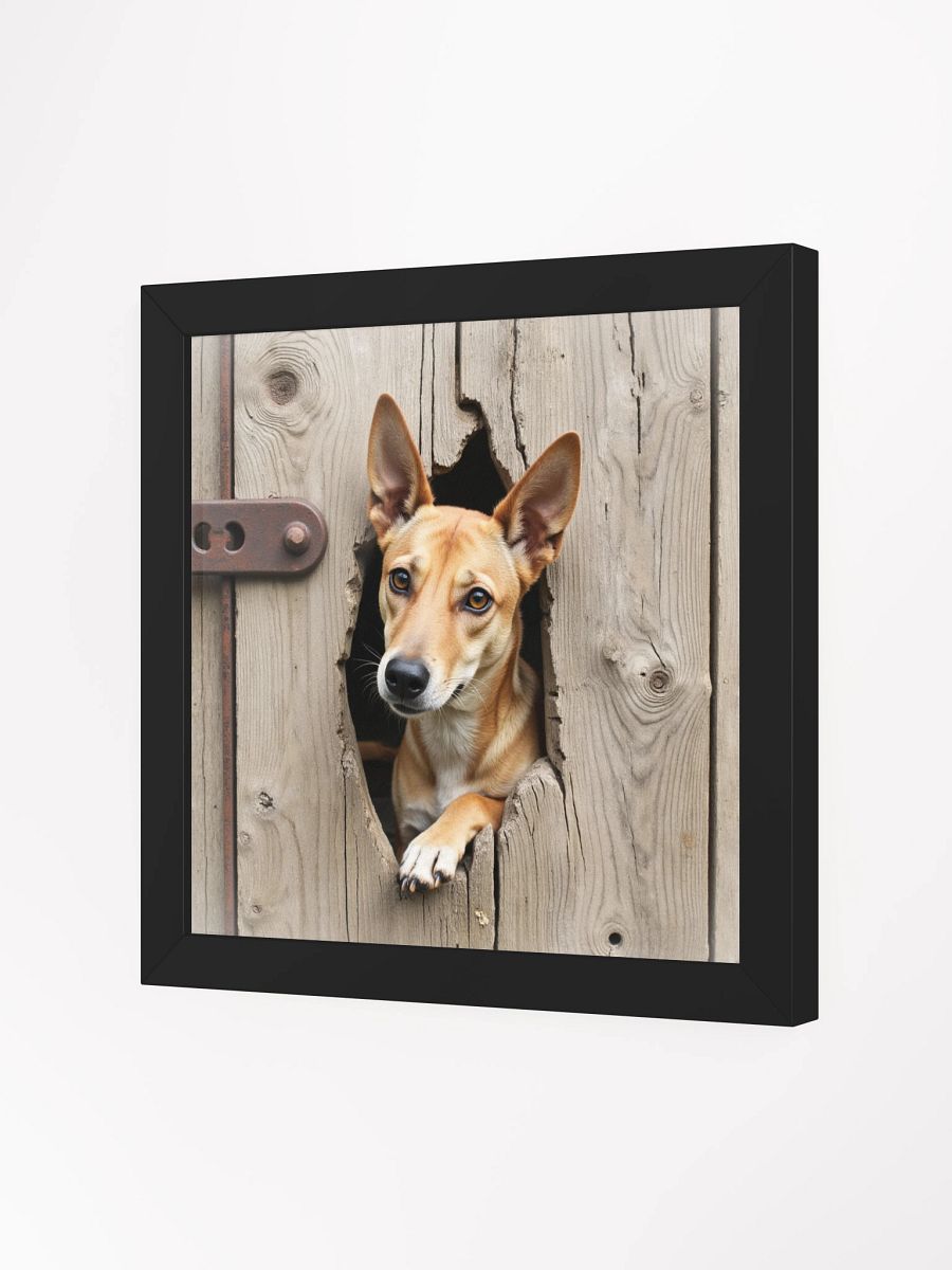 Rustic Wood Fence Peeker Framed Print product image (23)