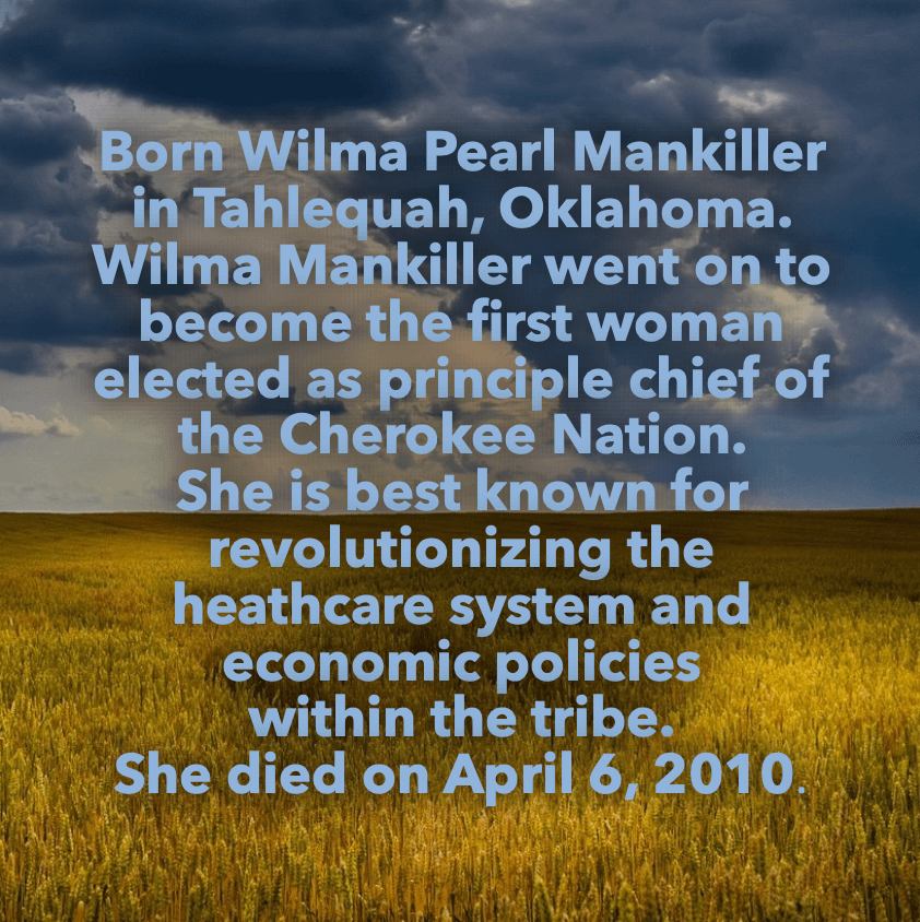 2022-2025 / American Women Quarters / Printable miniBIO Cards product image (3)