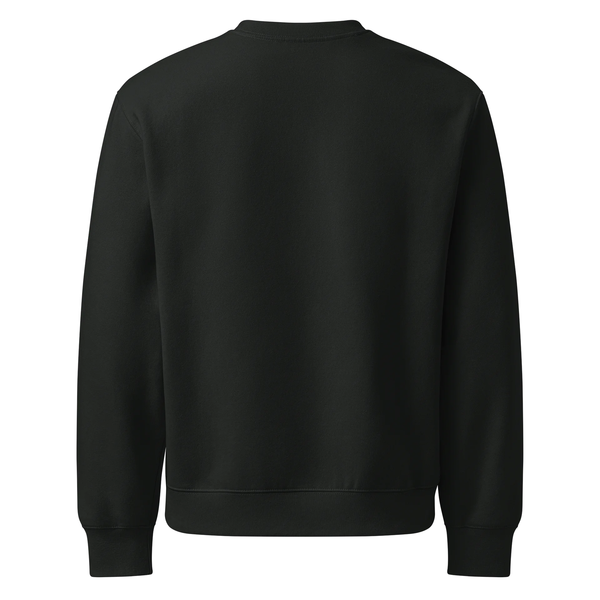 Abnl-Fela Oversized Sweatshirt product image (2)