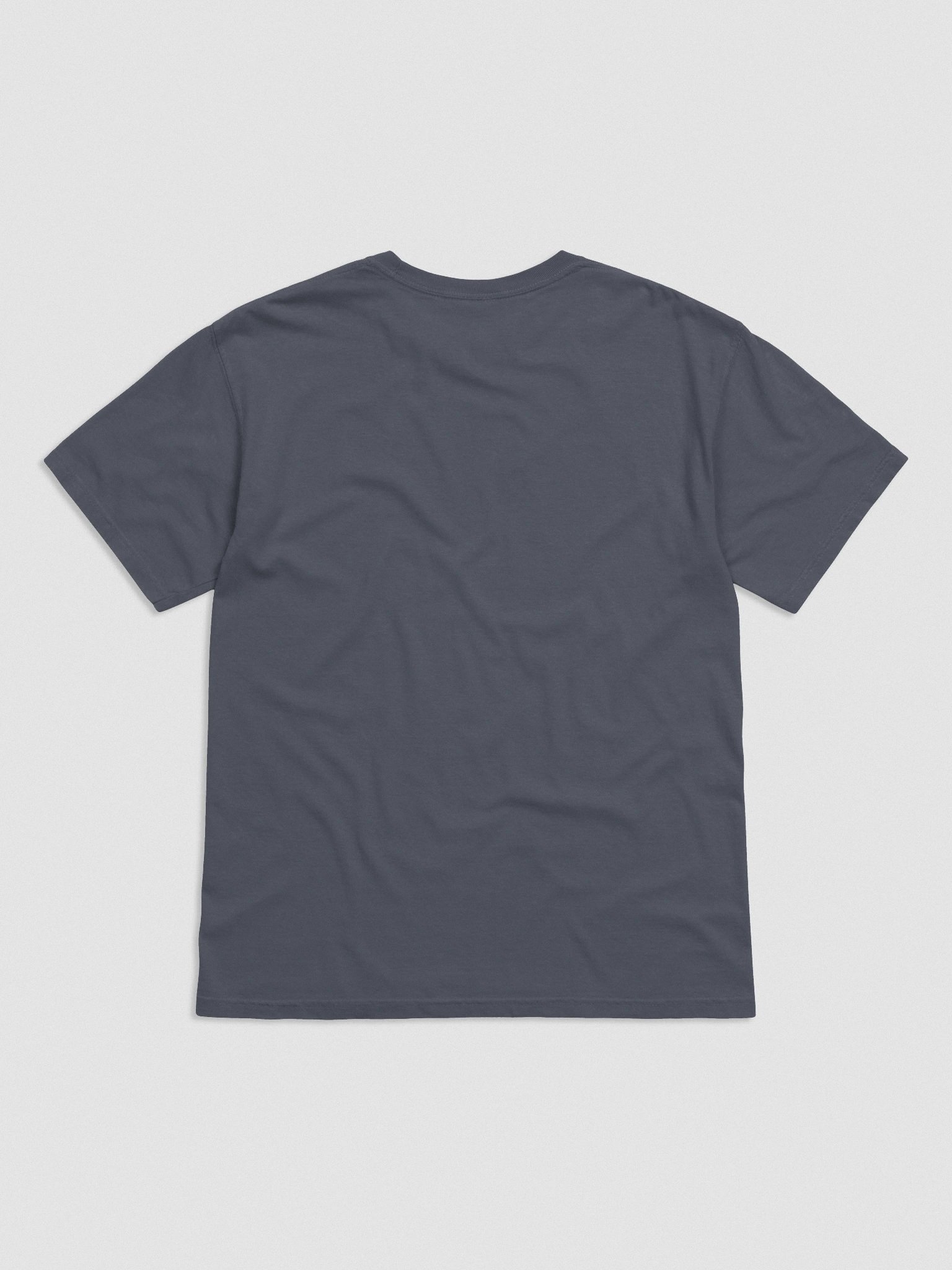 🌌 CW Classic Embroidered Heavyweight Tee product image (4)