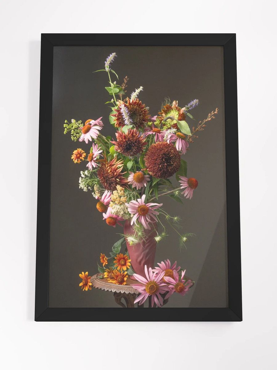 Echinacea Summer II product image (3)