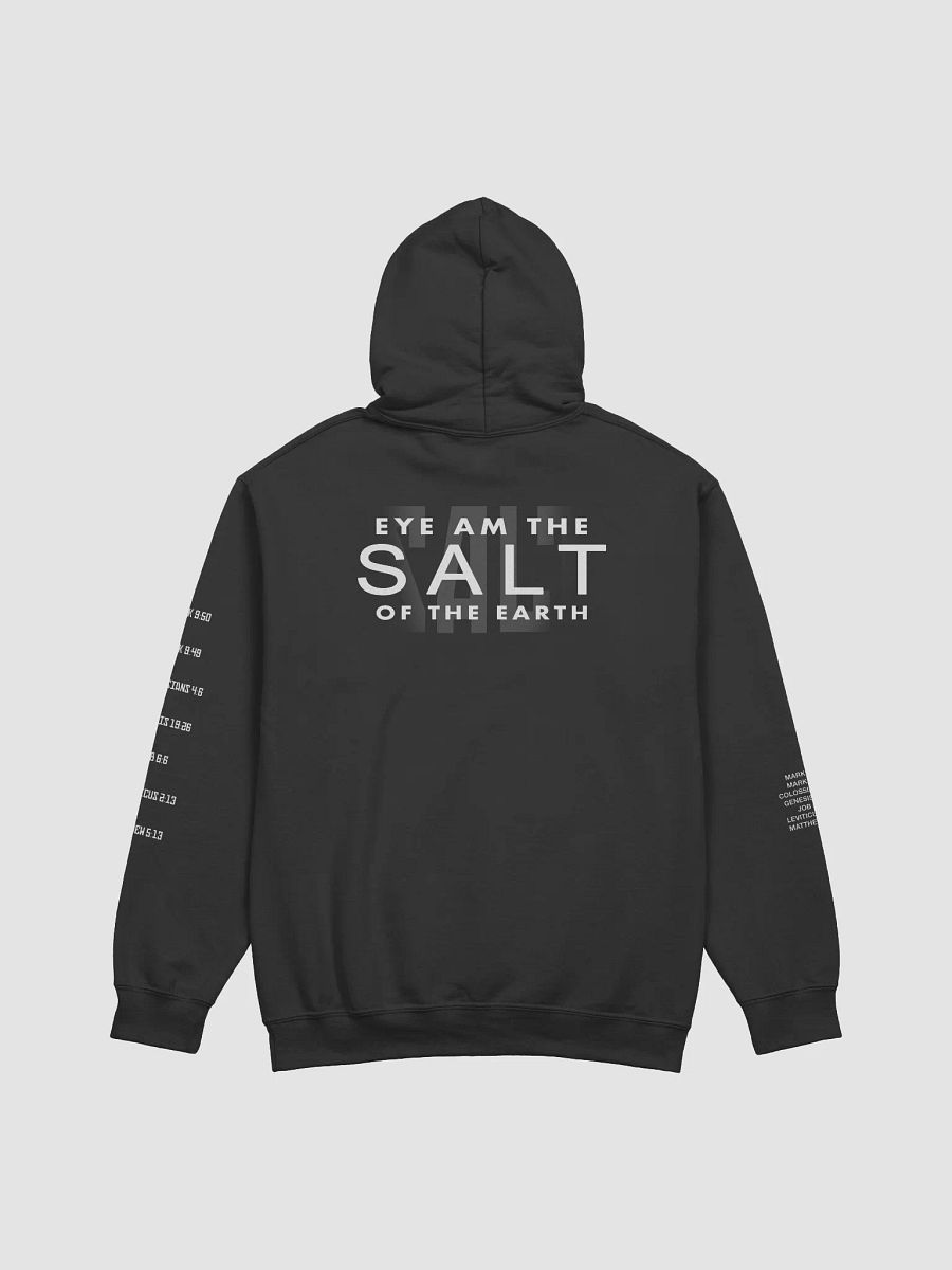 SALT Hoodie product image (4)