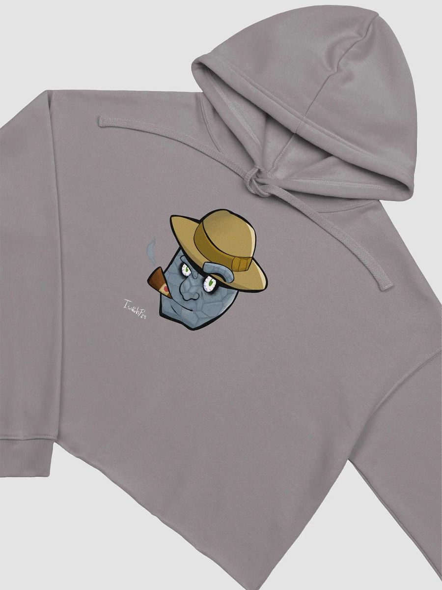 Isaiah Ferguson Grey Ben Crop Hoodie product image (3)