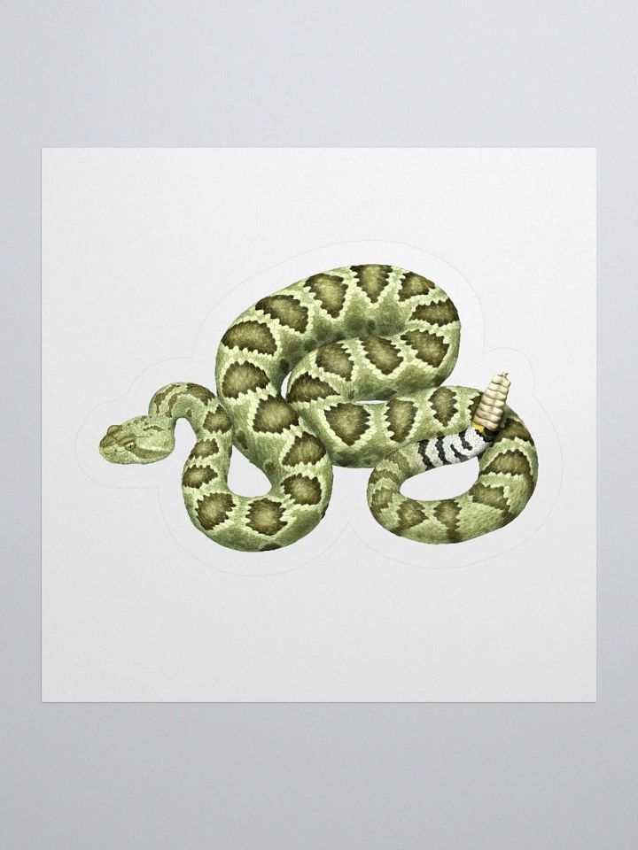 Die-Cut Sticker – Mojave Rattlesnake (Green) product image (1)