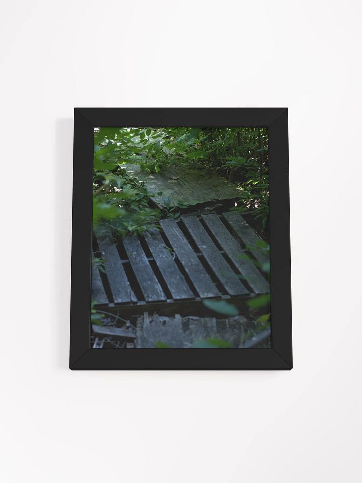 Plank (framed) product image (5)