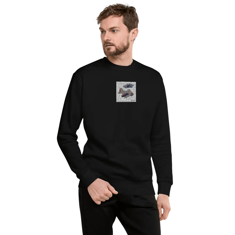 Kid Airplane (Cotton Heritage Premium Sweatshirt) product image (4)