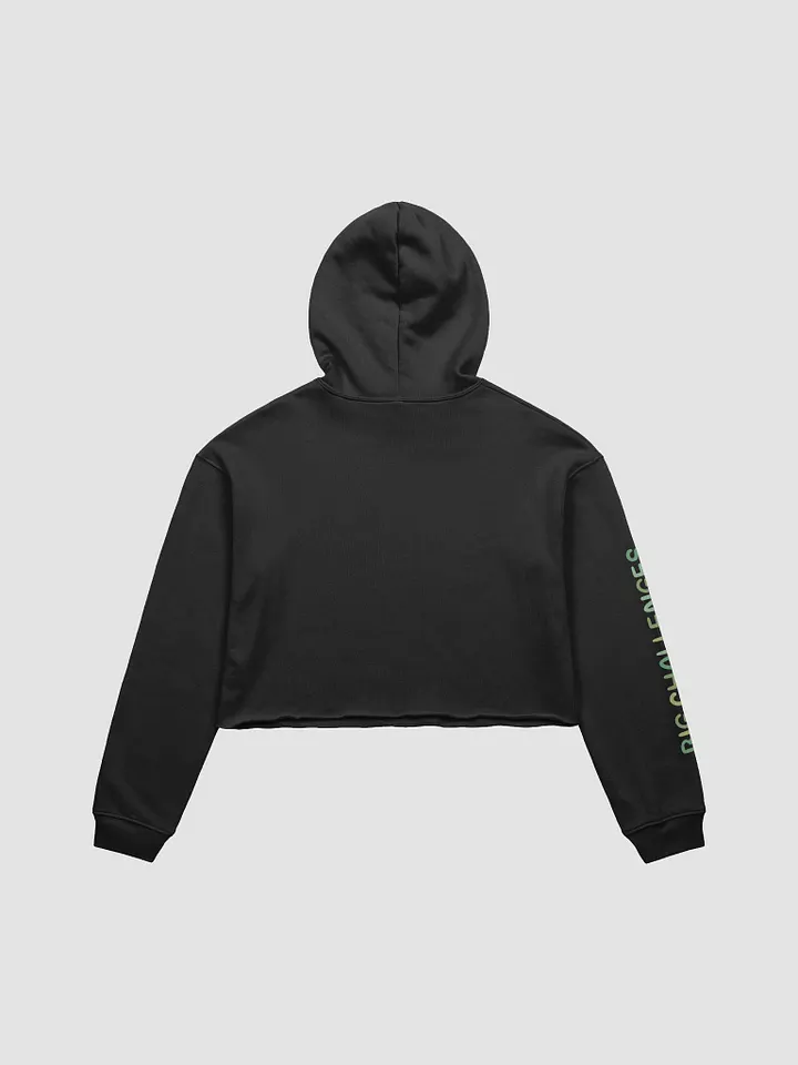 Lil Big Challenges Cropped Hoodie product image (2)