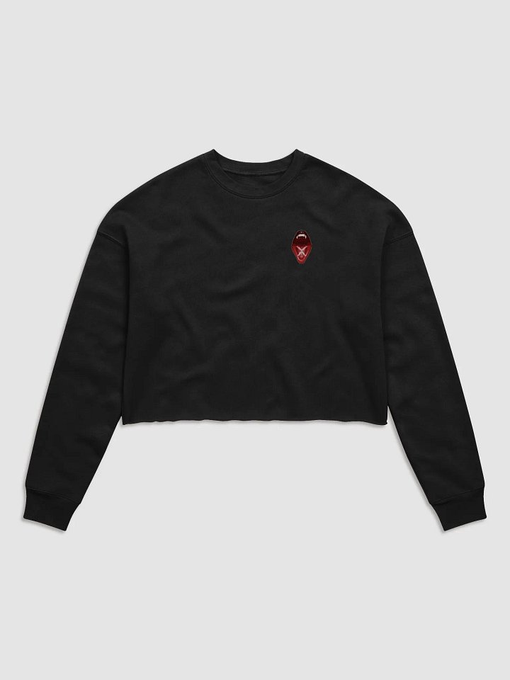 Xaphora Drip Cropped Long-sleeve product image (1)