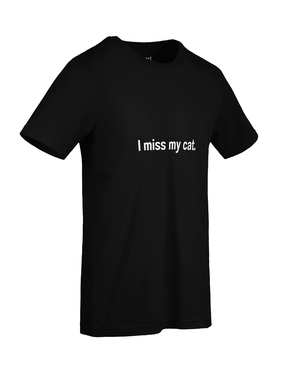 I miss my cat. Unisex T-Shirt product image (91)