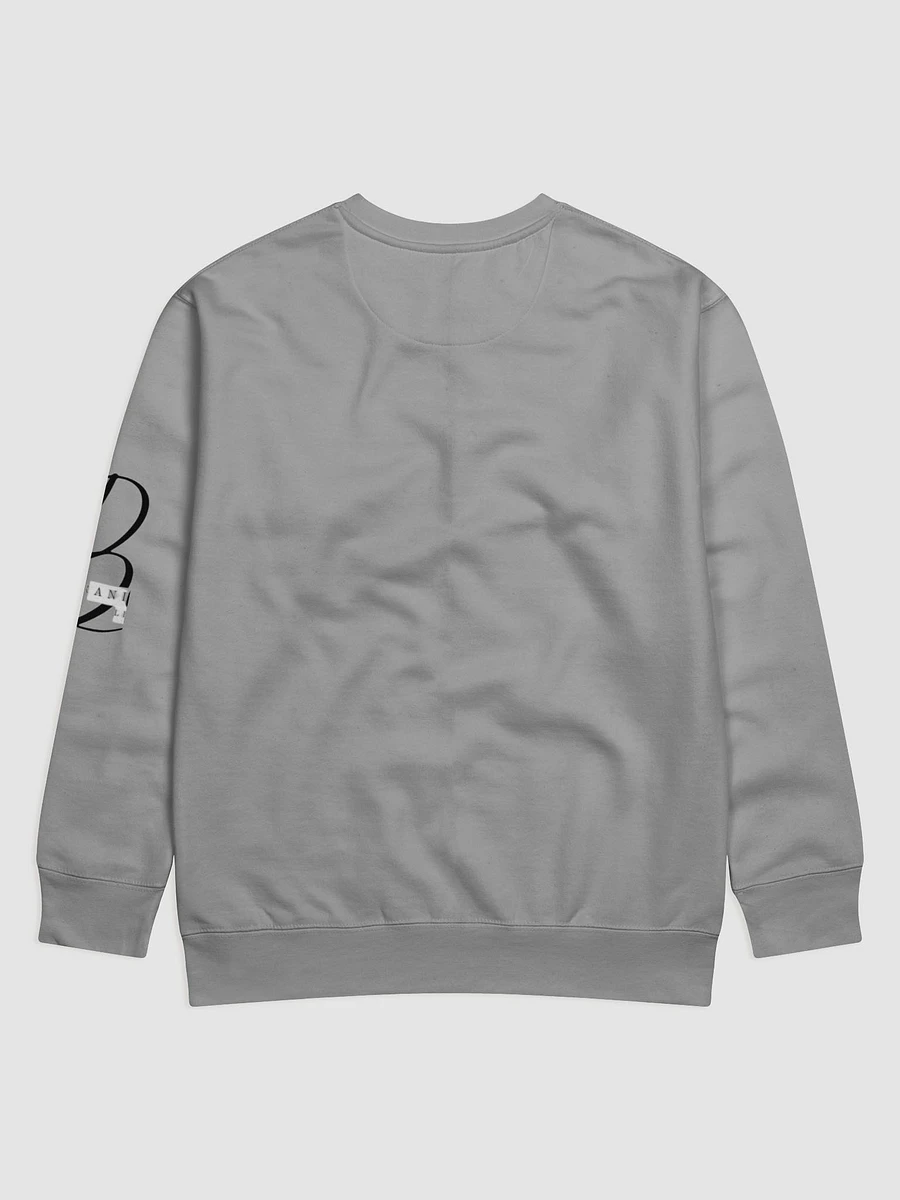 IBVL Lifestyle Sweatshirt product image (10)