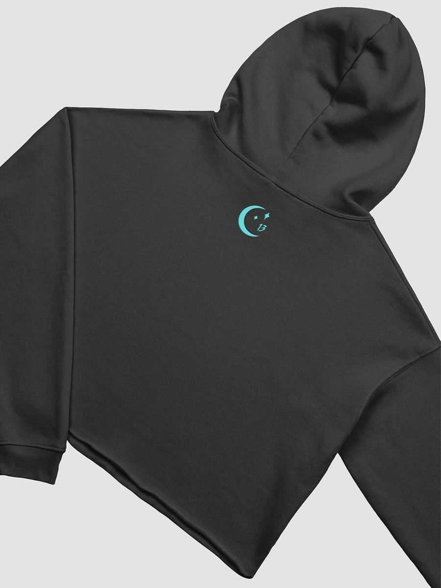 MerSMP Finale Crop Hoodie product image (12)