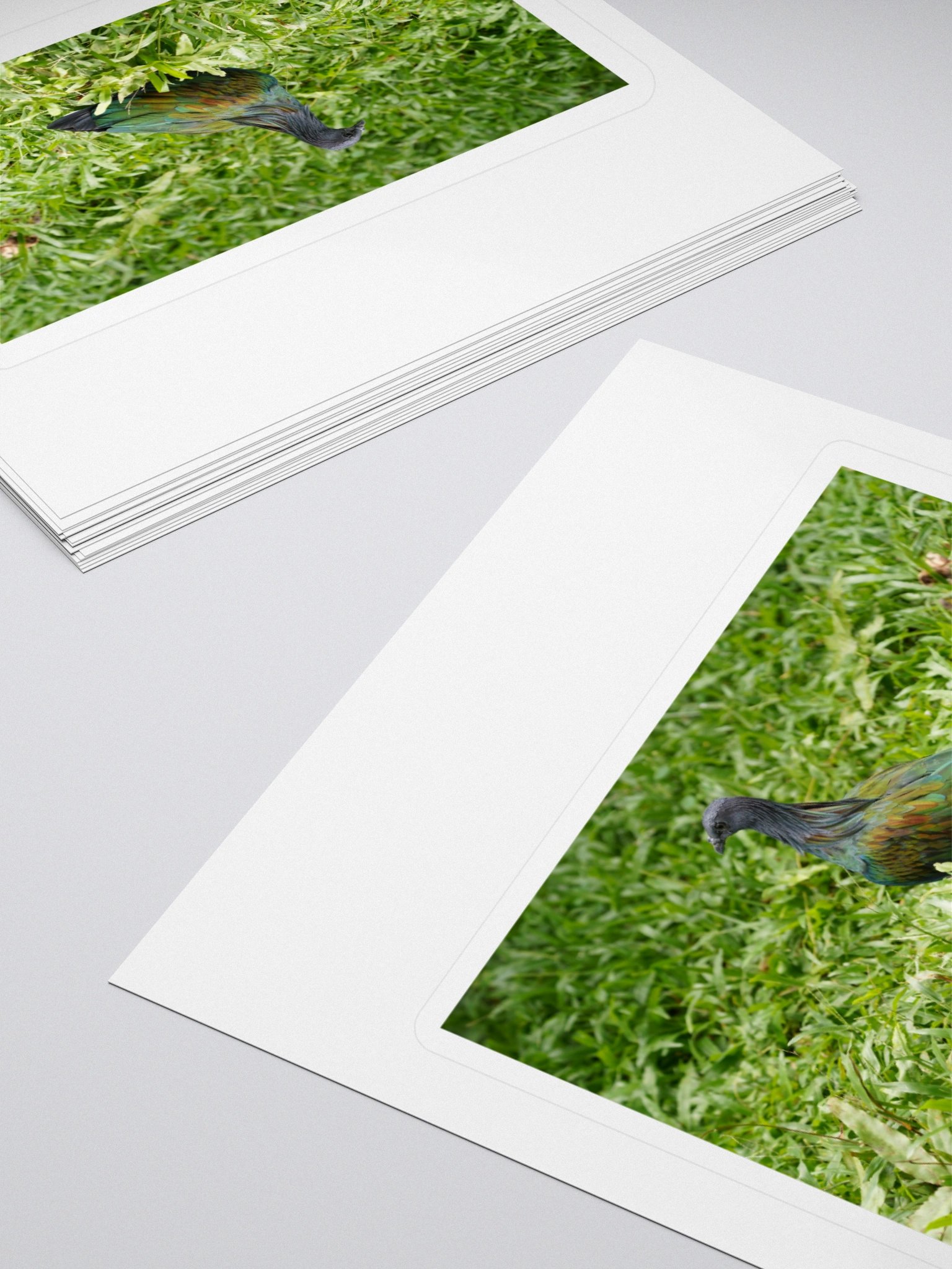 Iridescent Nicobar Pigeon Kiss Cut Stickers product image (4)