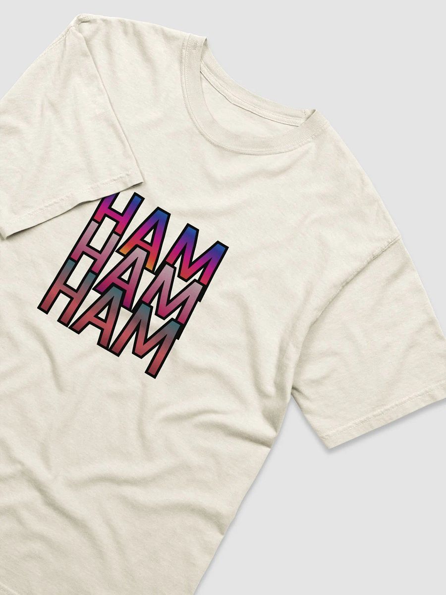 HAM Comfort Colors Garment-Dyed Heavyweight T-Shirt product image (15)