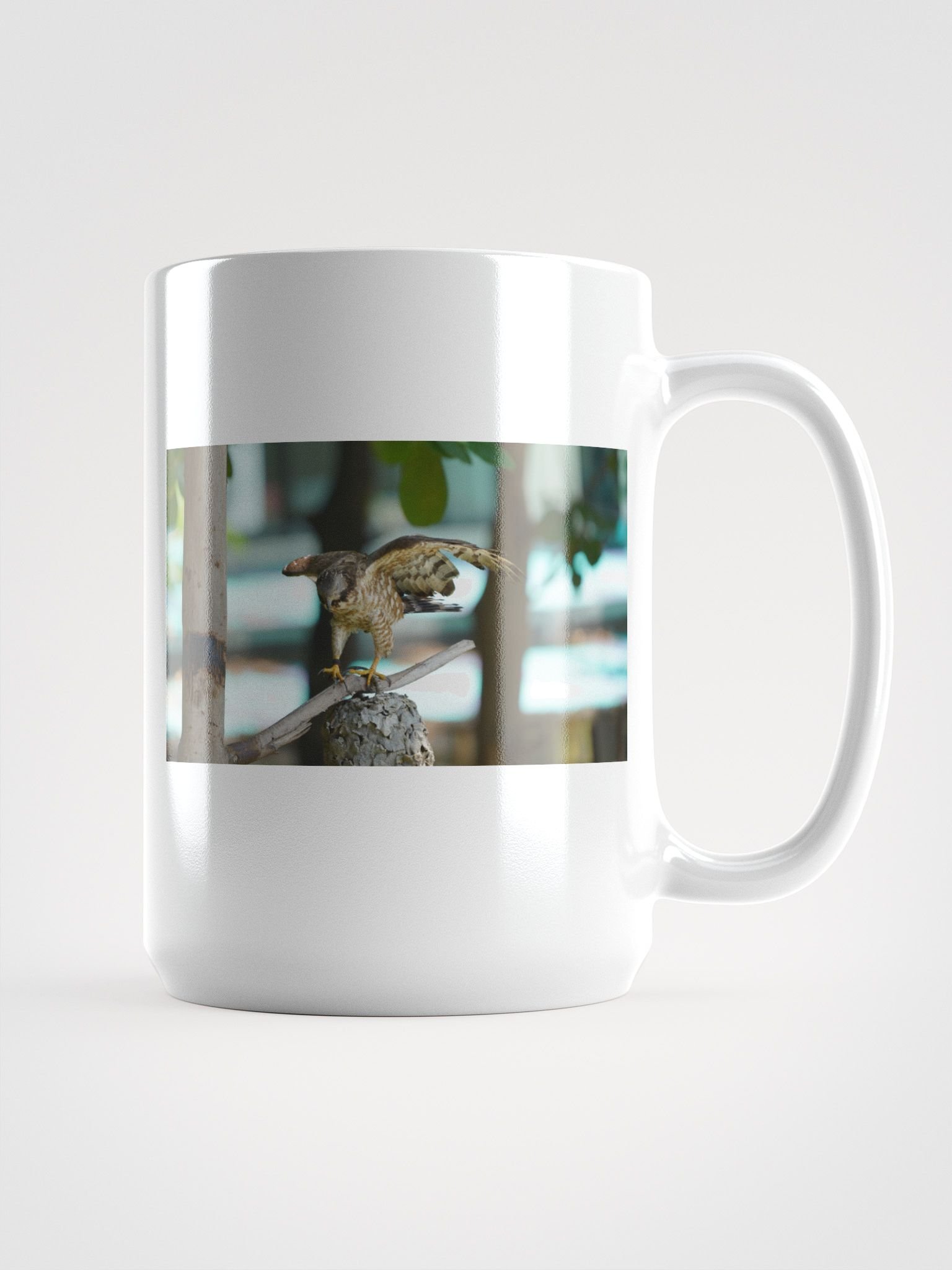 Majestic Falcon White Glossy Mug product image (1)
