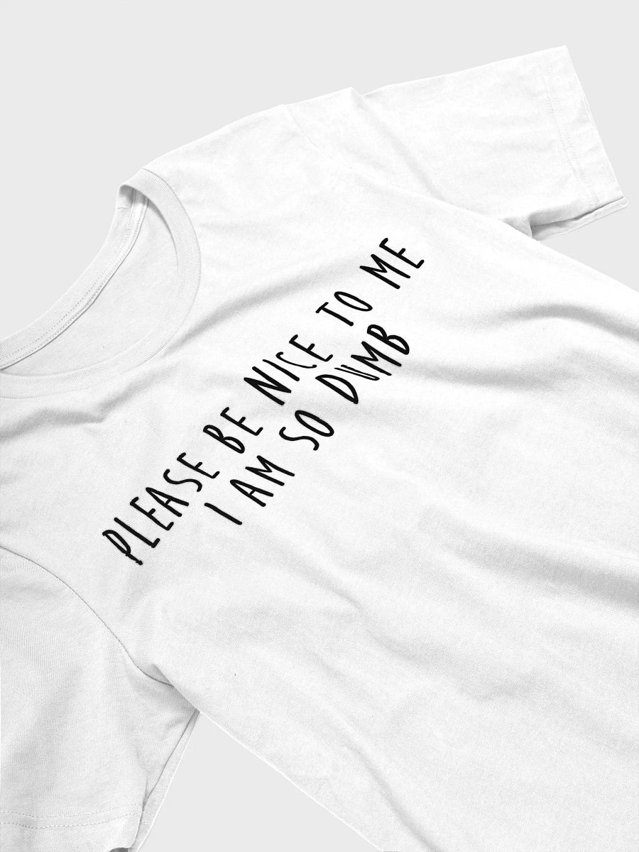 Text only: Please be nice to me shirt product image (43)