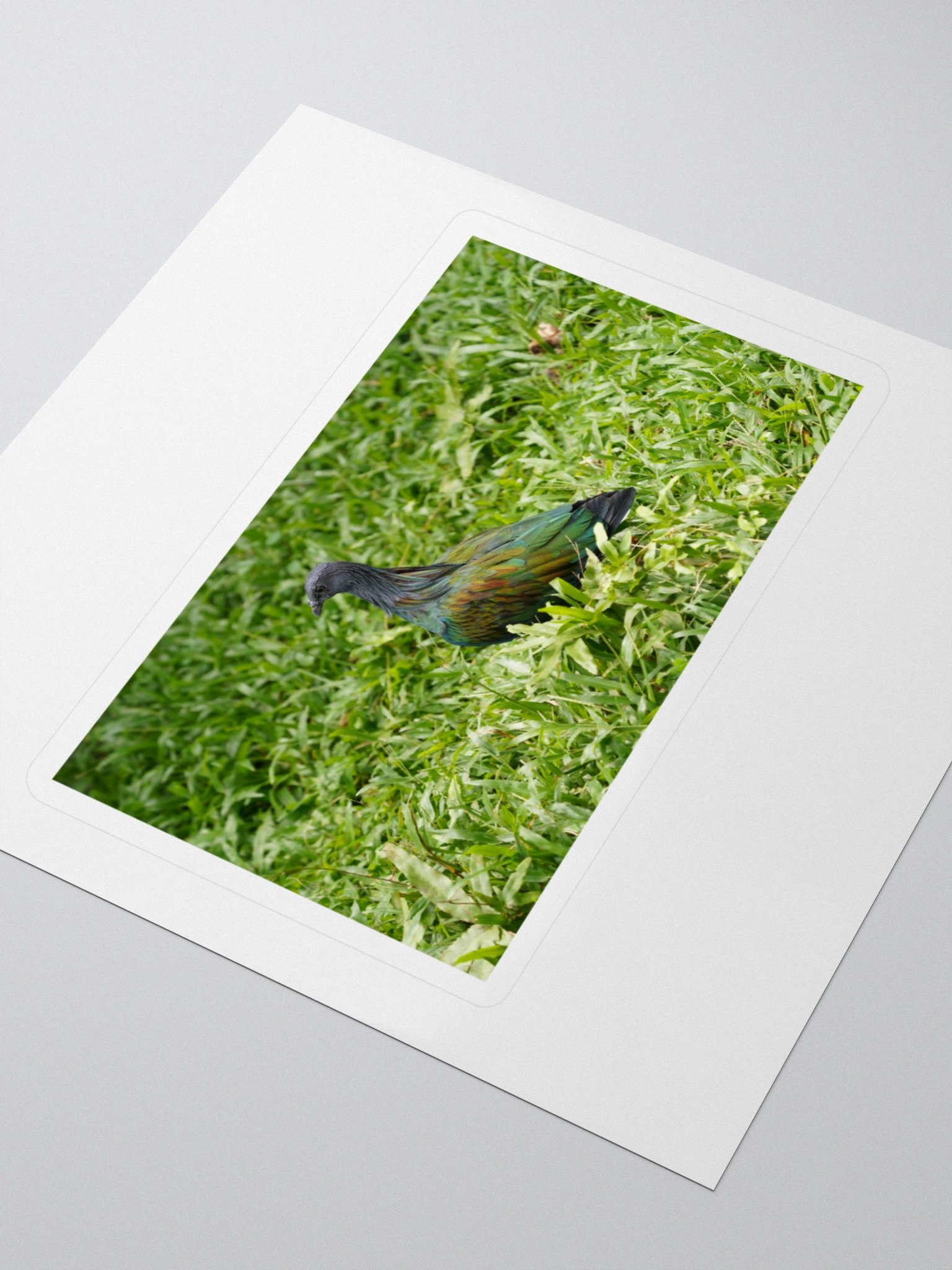 Iridescent Nicobar Pigeon Kiss Cut Stickers product image (3)