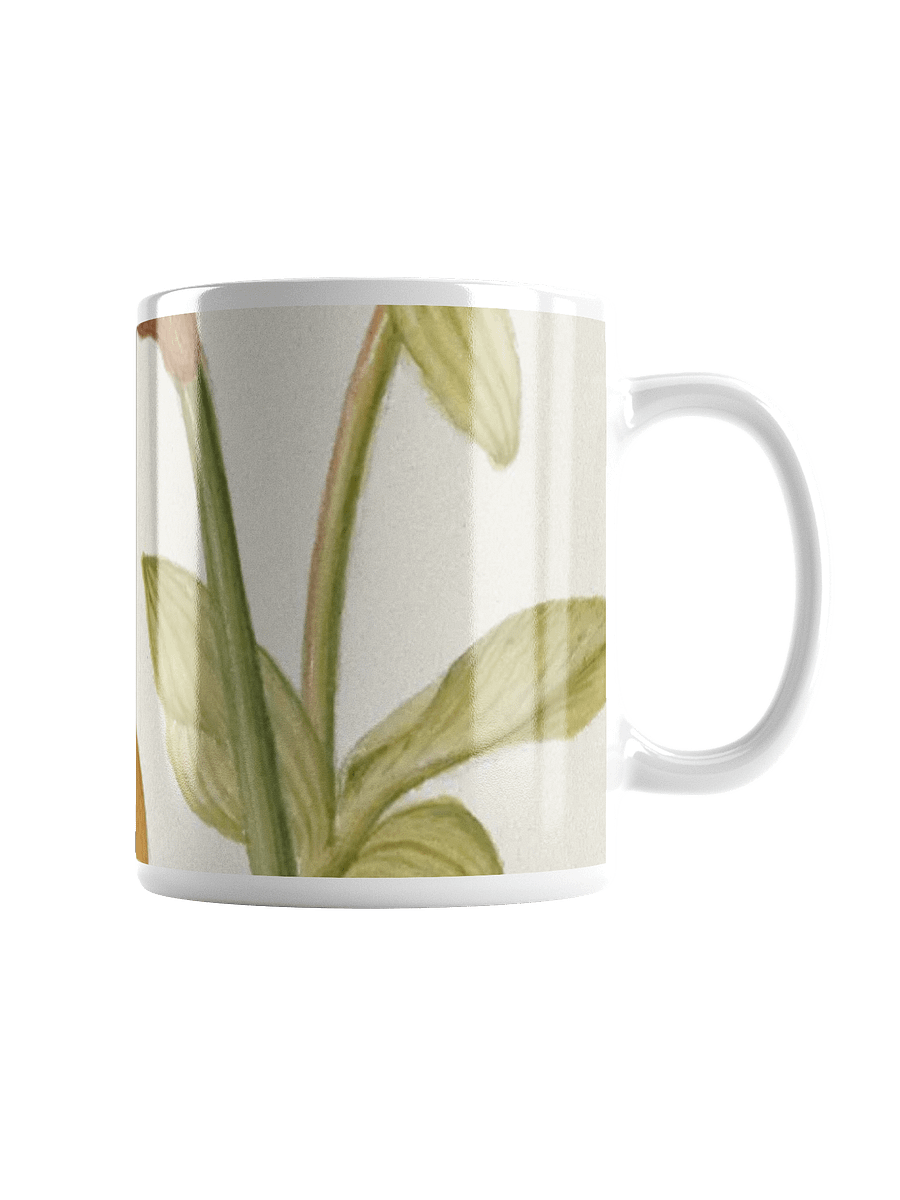 Botanical Bliss Mug product image (1)