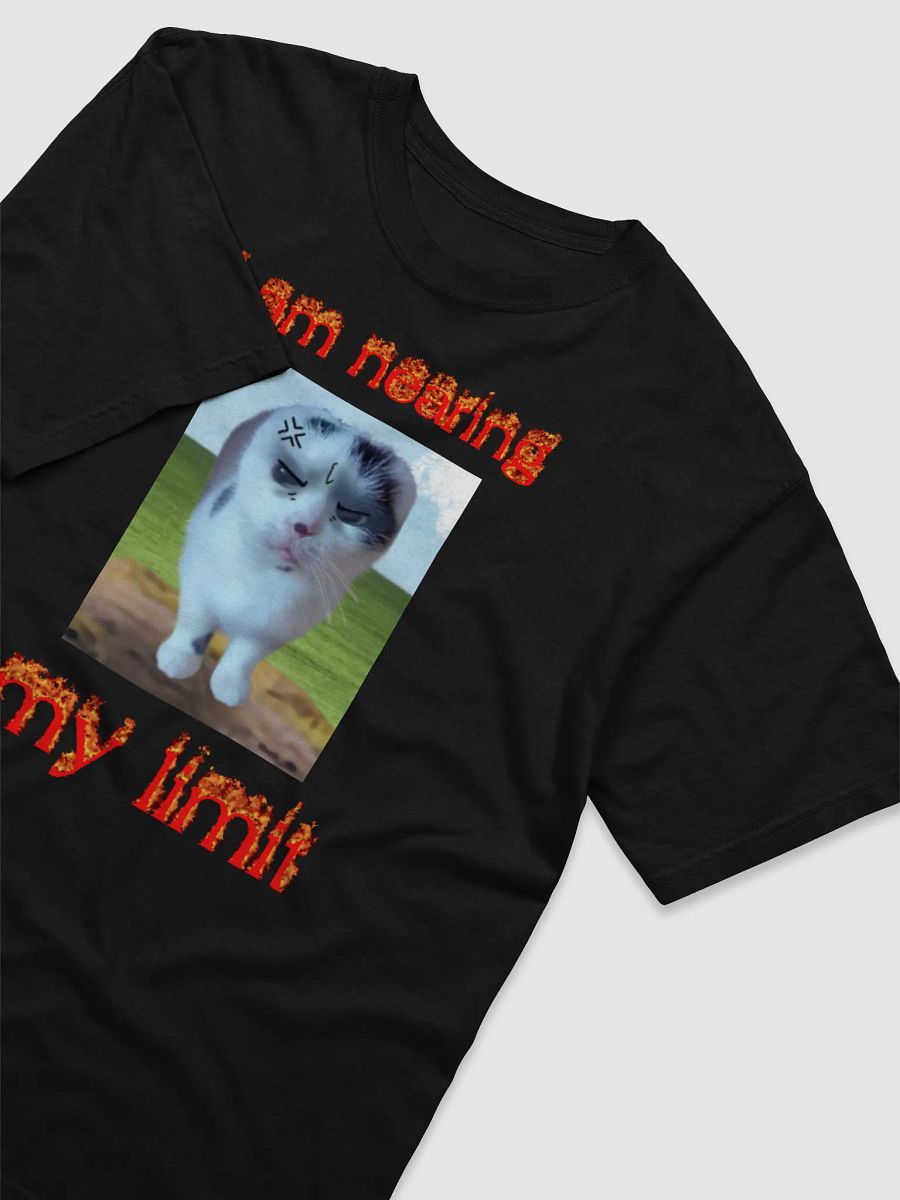 I am nearing my limit product image (3)