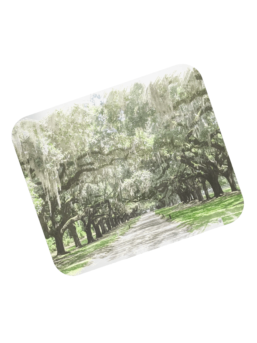 Avenue of the Oaks, Boone Hall Mousepad product image (7)