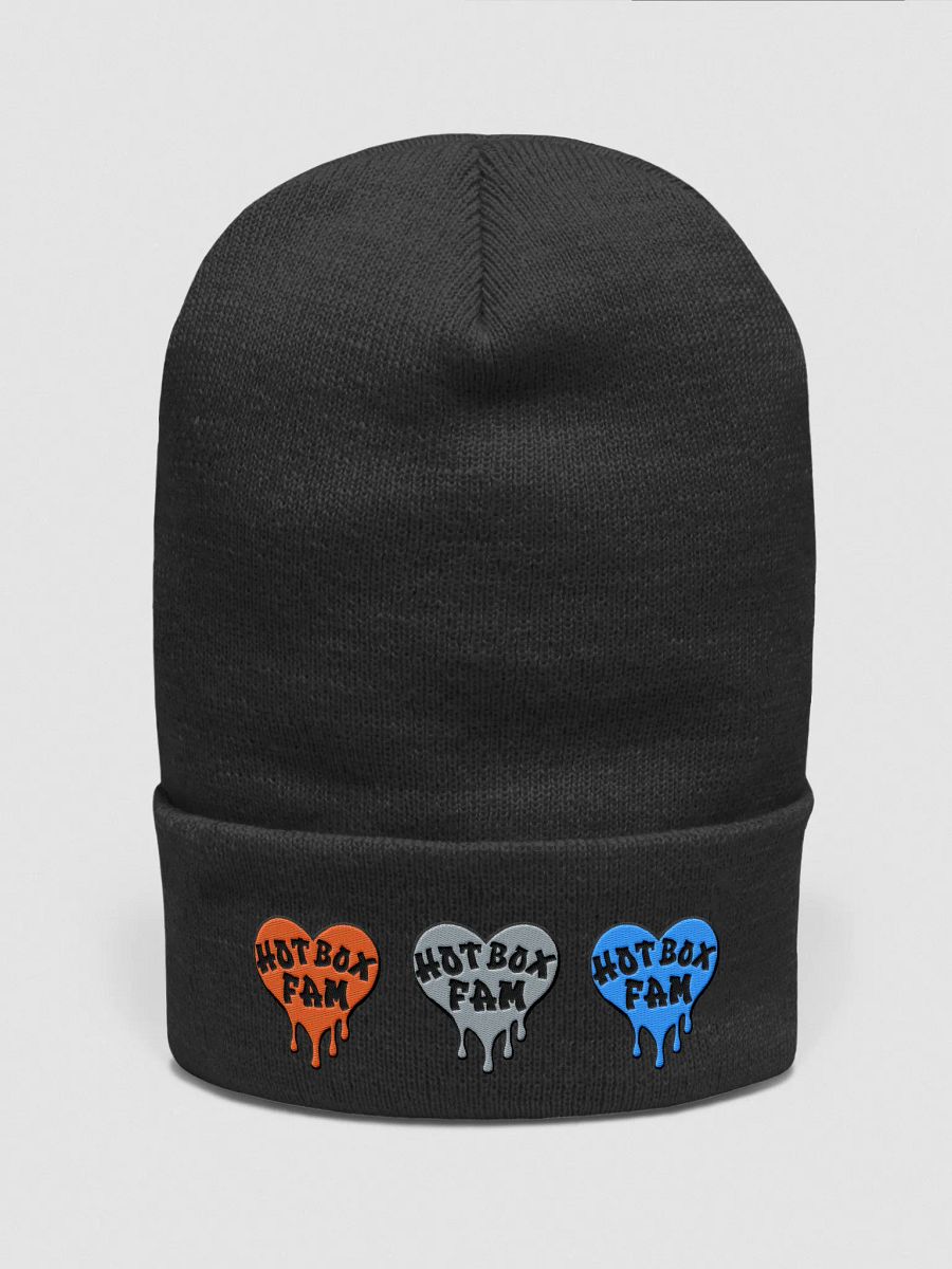 HOT BOX FAM SOLID EMBROIDERY BEANIE product image (3)