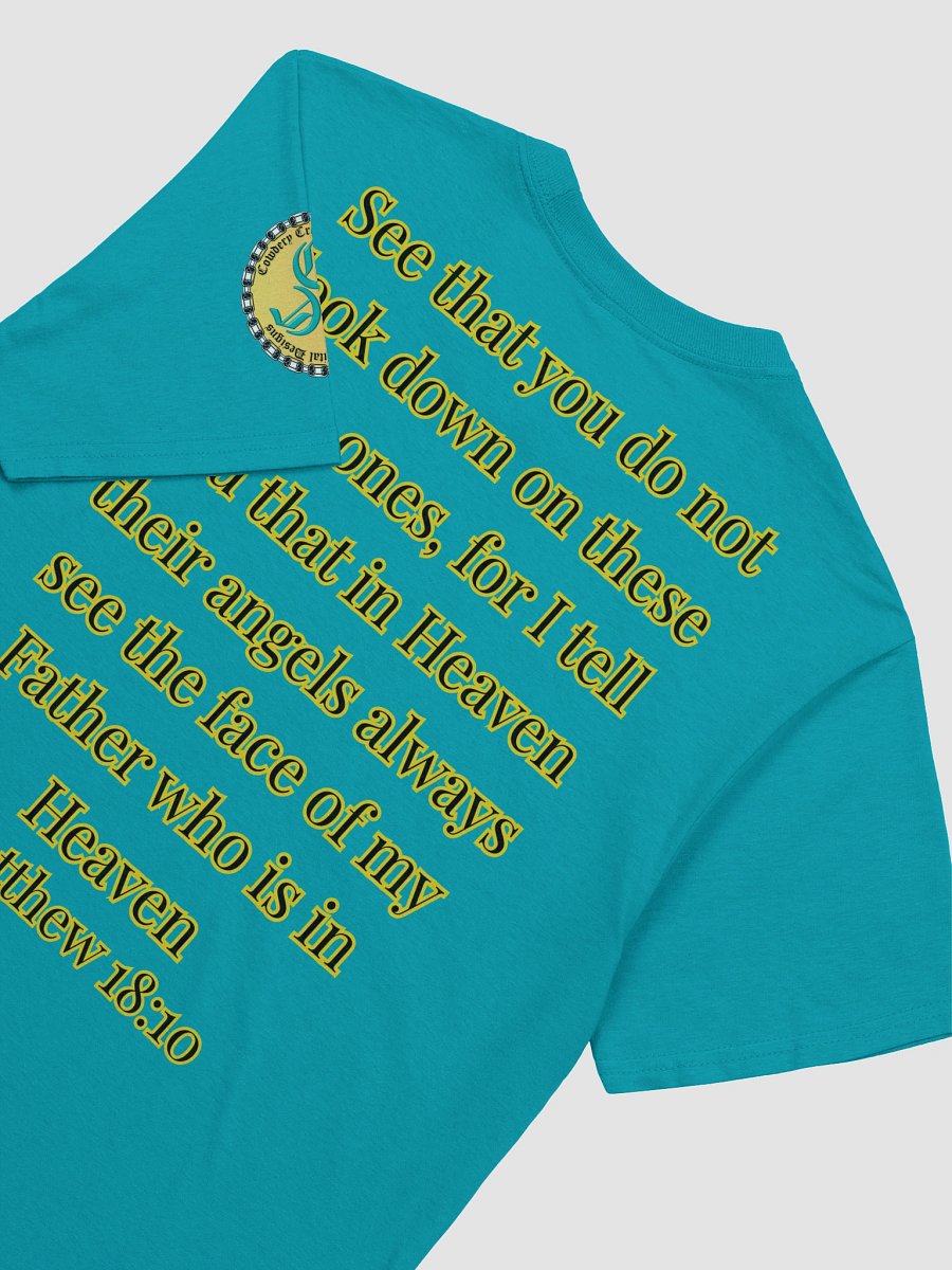 Angels Watch Over Them (Female) Gildan Unisex Softstyle T-Shirt Light Colors product image (14)