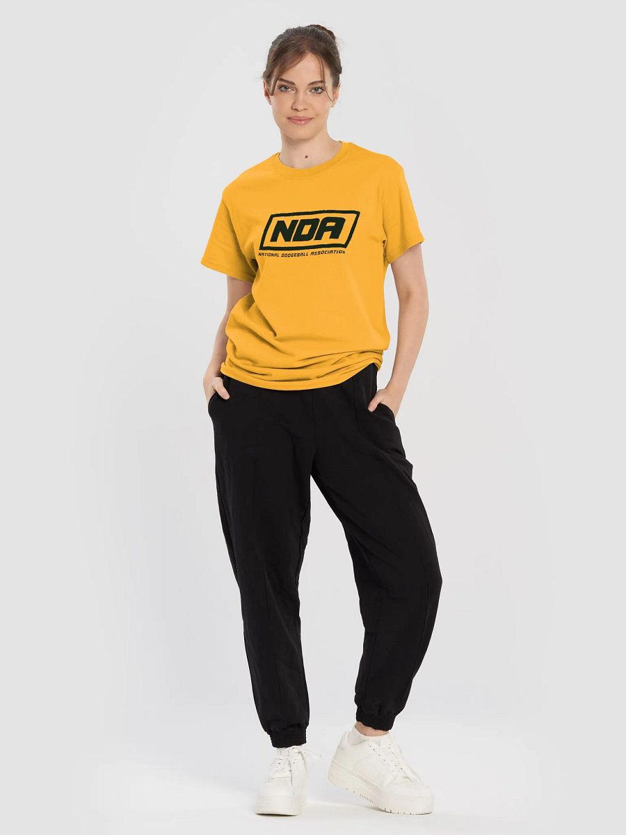 National Dodgeball Association T-Shirt (Dark) product image (1)