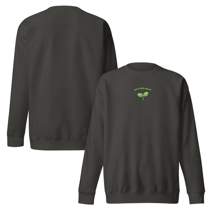 Just a little Sprout Embroidered Sweatshirt product image (2)