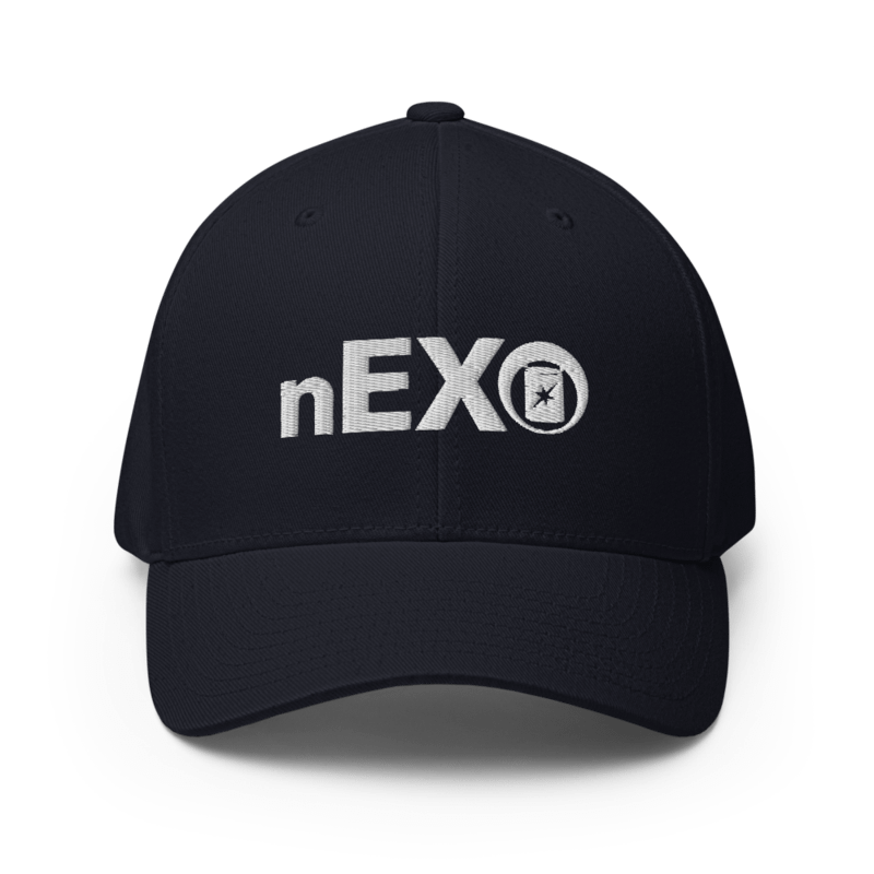 nEXO Flexfit Hat product image (1)