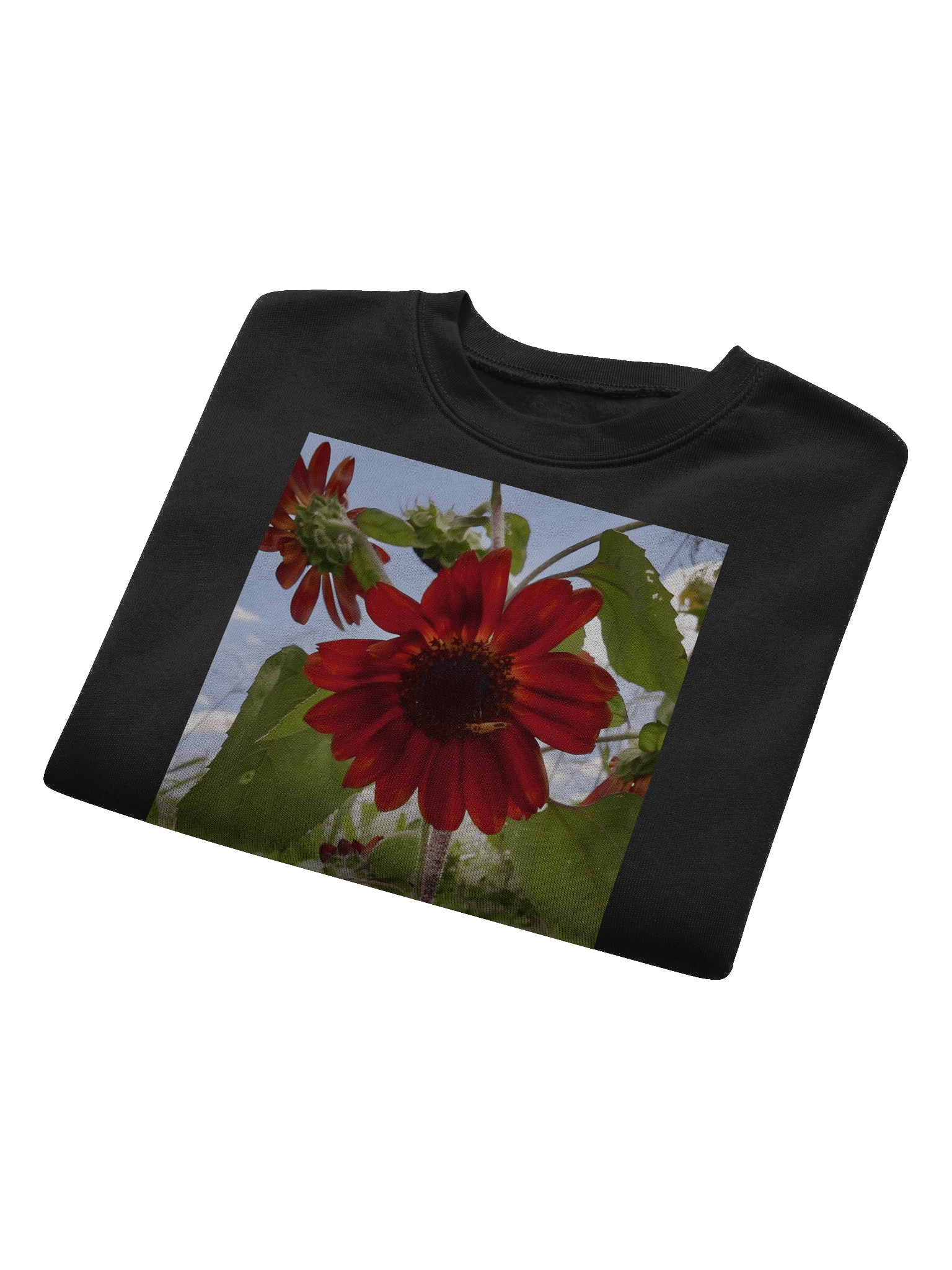 w product image (15)