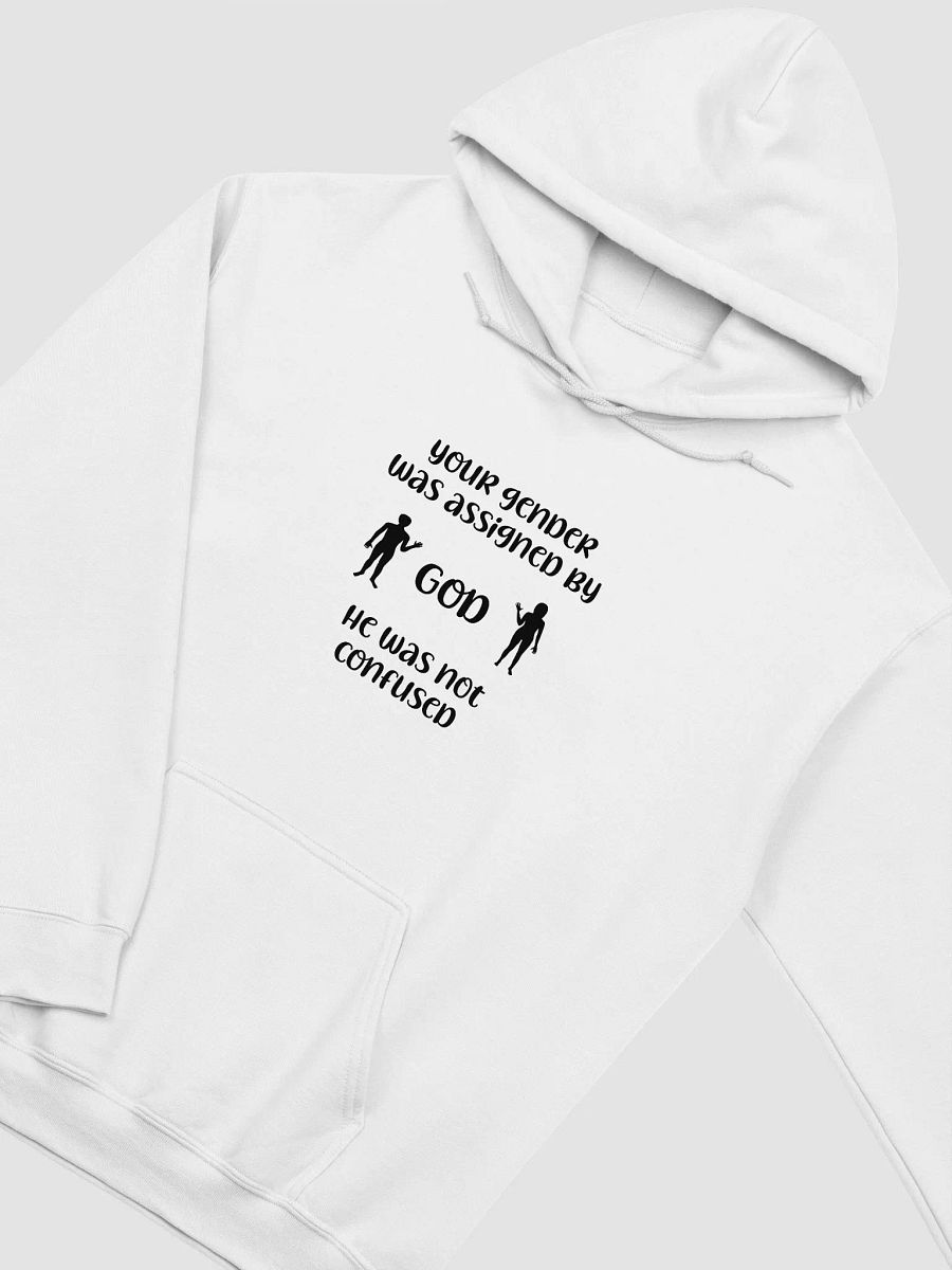 Your Gender Was Assigned by GOD. Shadowed Elegance Hoodie product image (2)