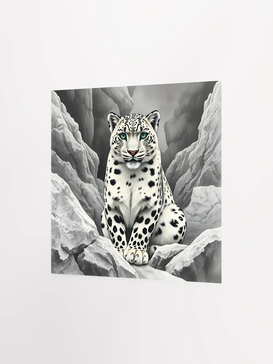 Snowleopard product image (7)