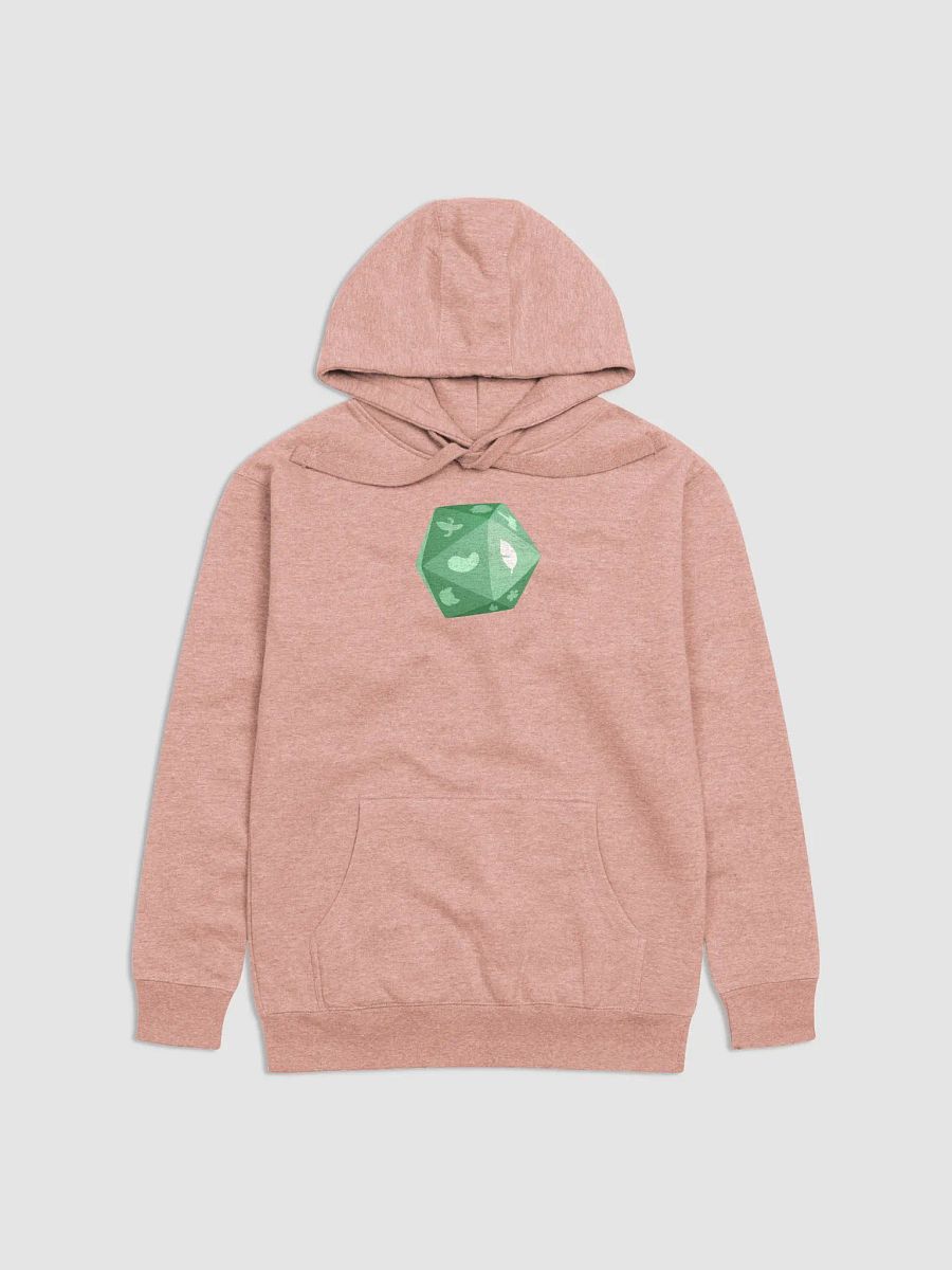 b20 - Willow Hoodie product image (2)