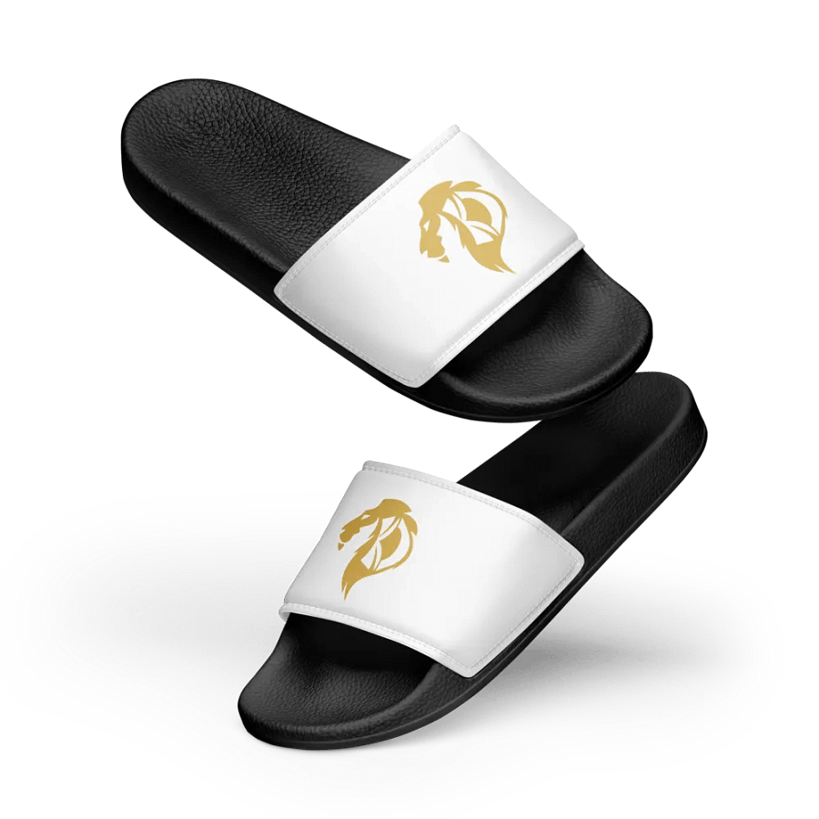 KD Hill Slides product image (13)