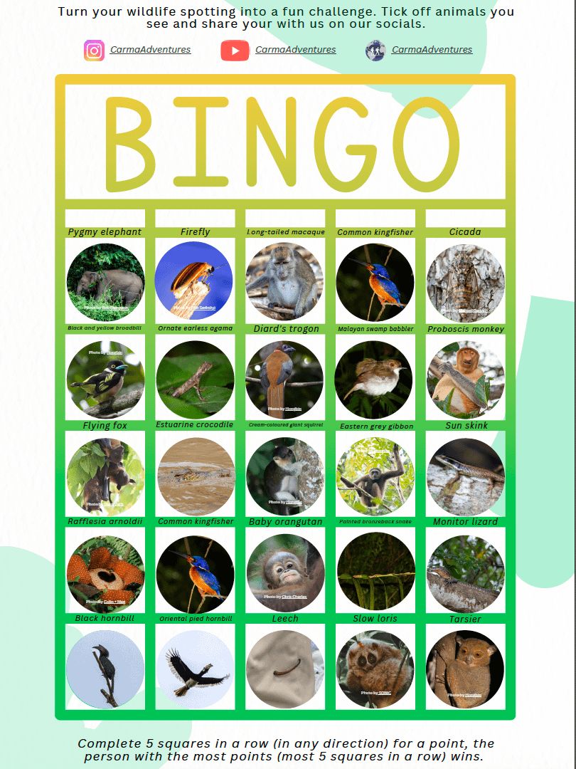 Free Fun Wildlife Bingo for Your Trip to Sabah in Borneo product image (2)
