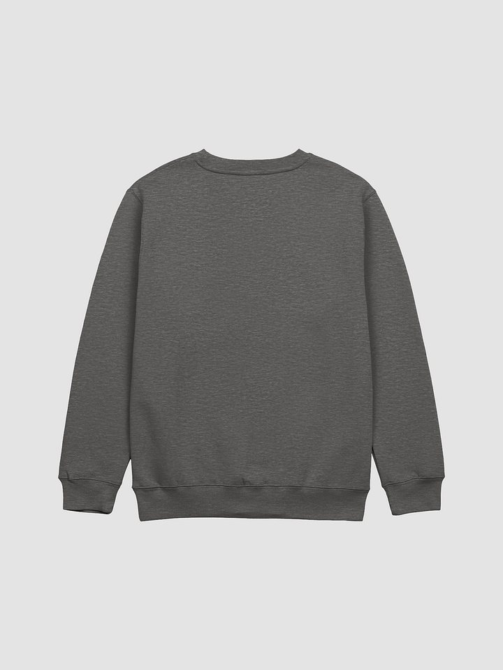Crucial Tracks sweatshirt product image (4)