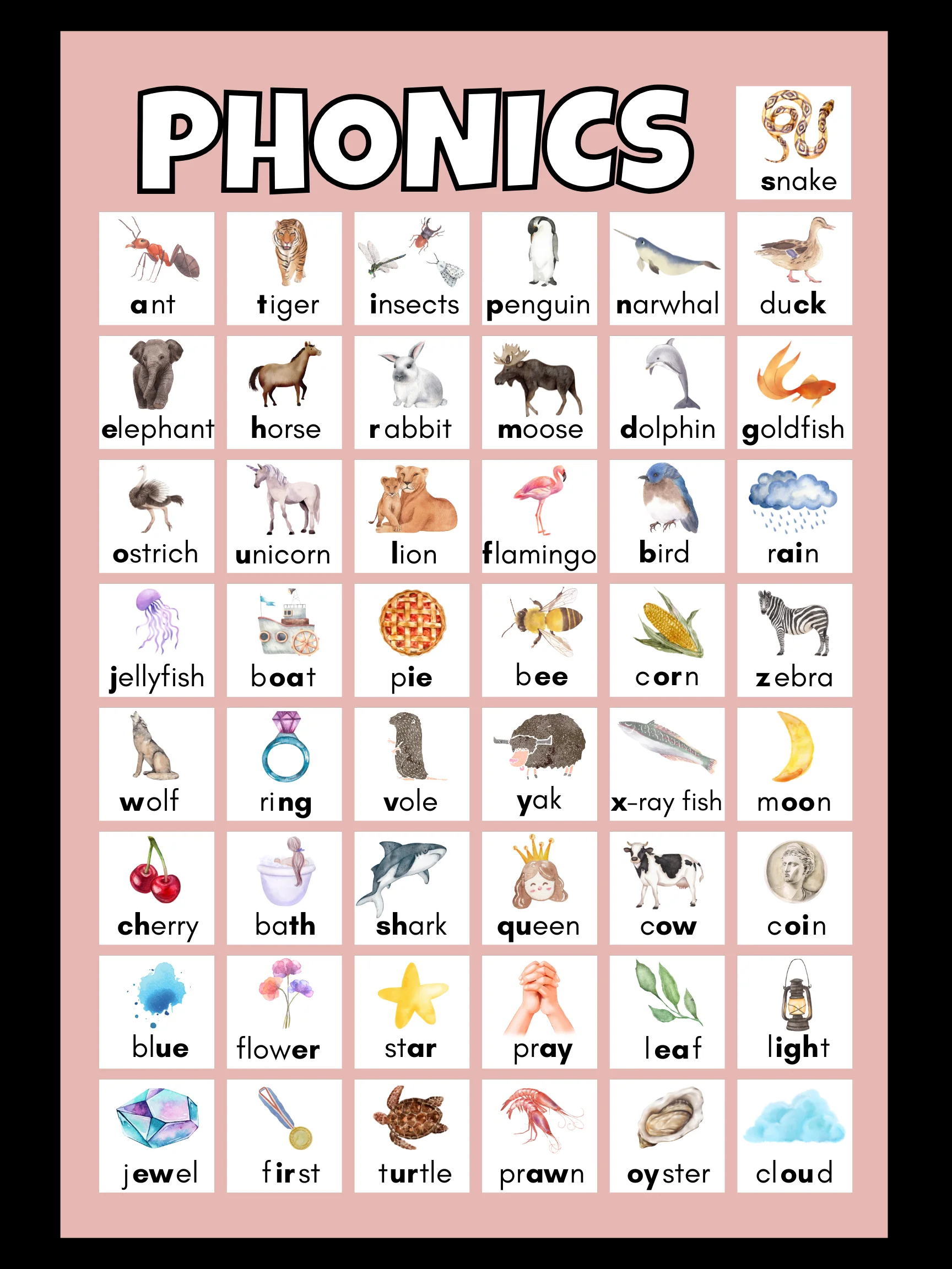 Phonics product image (1)