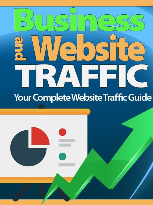 Business and Website Traffic- Your Complete Website Traffic Guide product image (2)