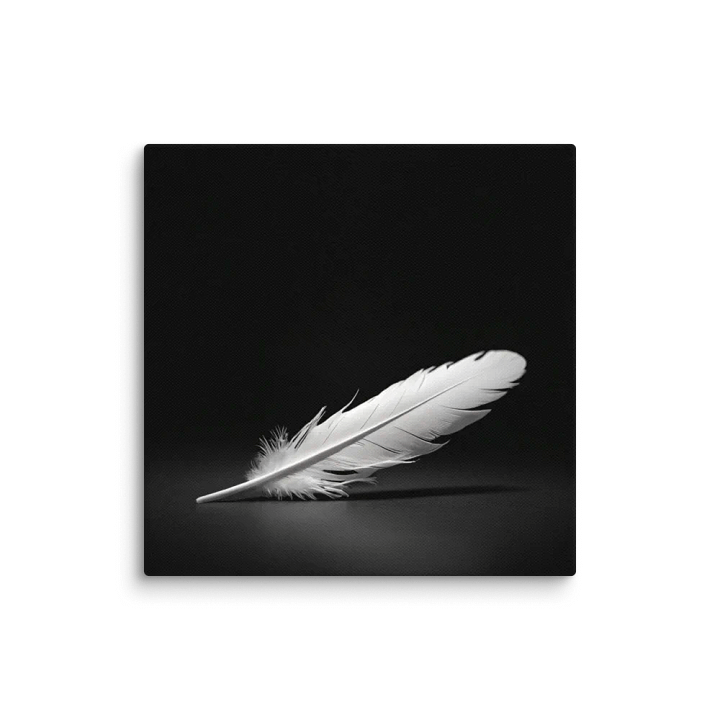 Ethereal Feather Canvas product image (1)