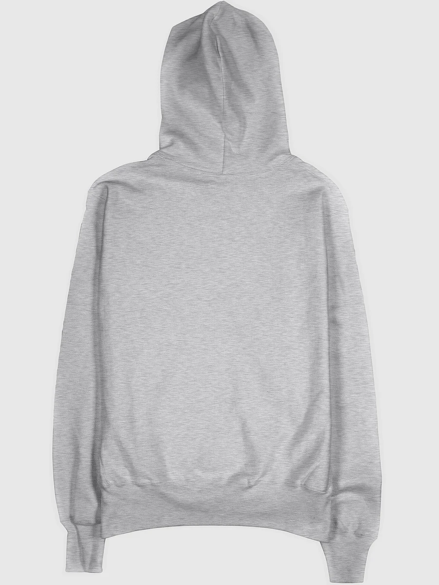 EMBROIDERED GRAY SKULL HOODIE product image (2)