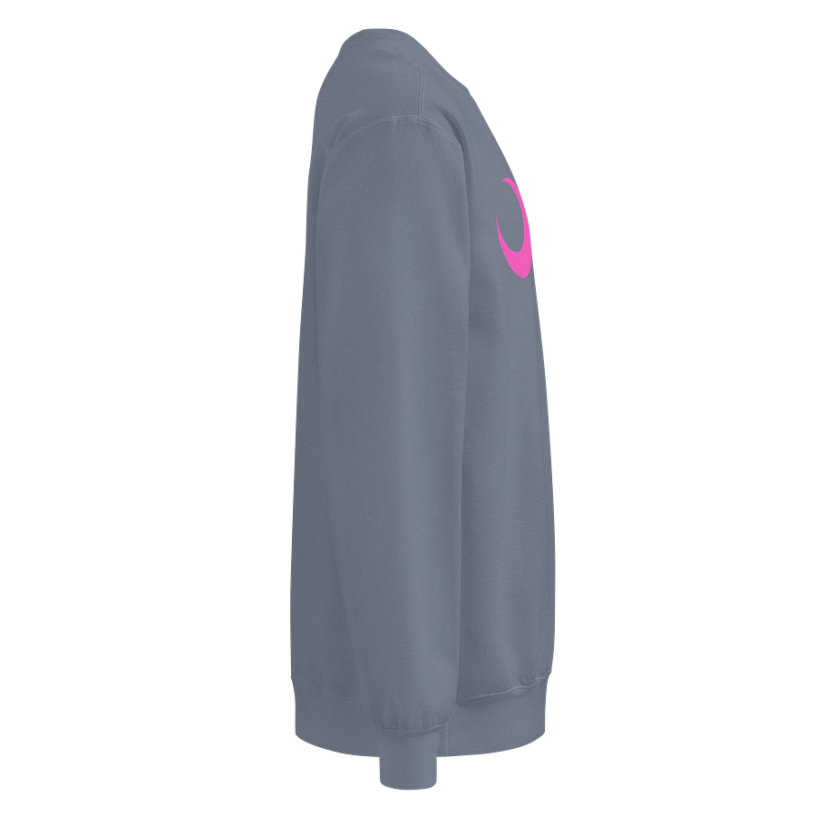 South Carolina Neon Pink Palmetto Moon Comfort Sweatshirt product image (22)